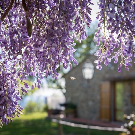 Le Cetinelle Hostal Greve in Chianti Exterior foto