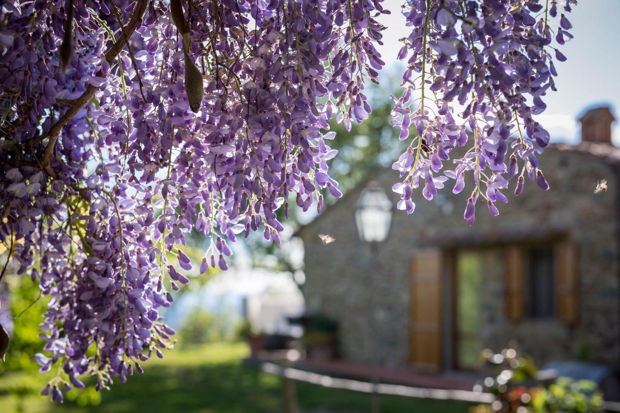 Le Cetinelle Hostal Greve in Chianti Exterior foto